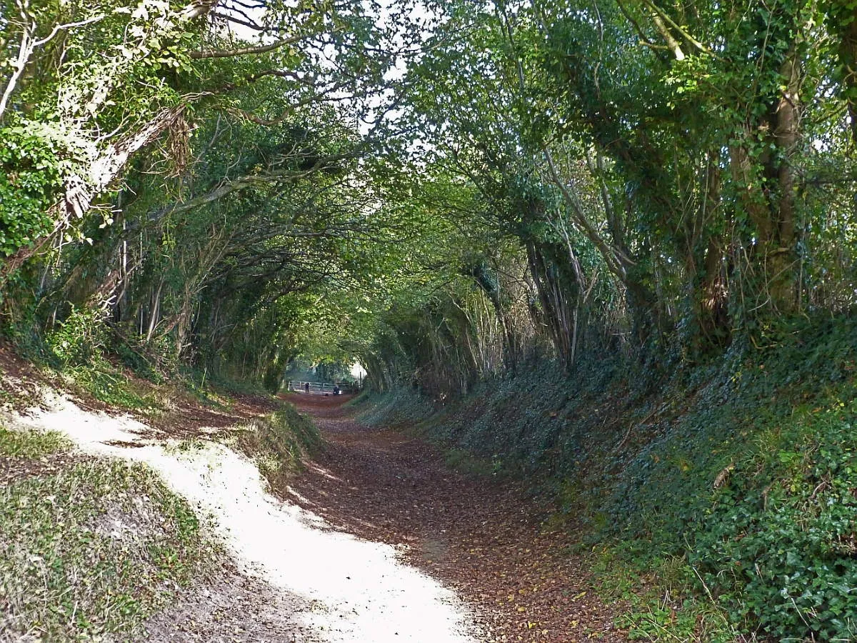 古罗马九条现存古道