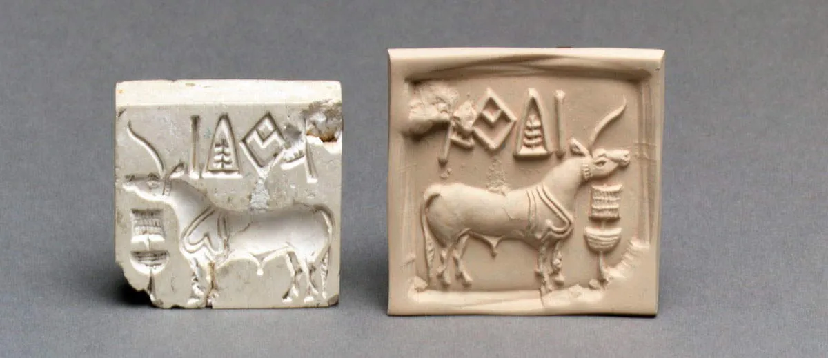 圣经里真的有独角兽吗?