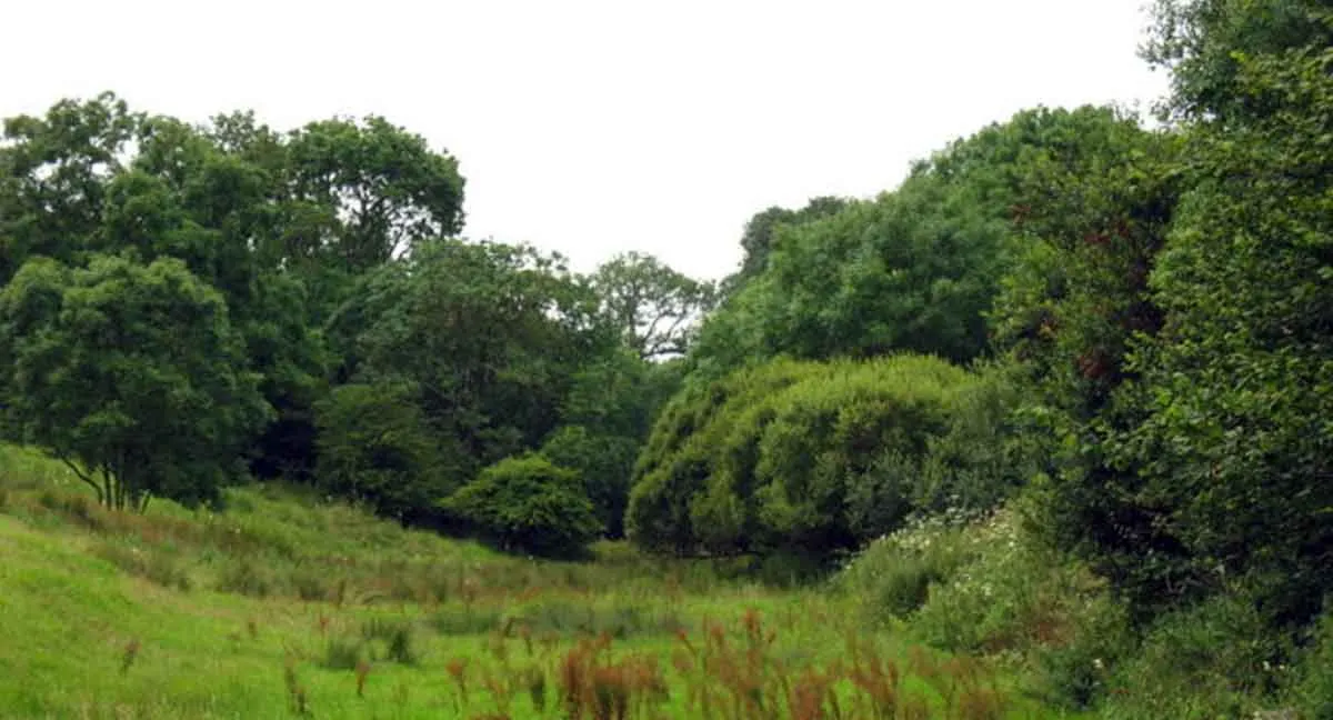 亚瑟王传奇妻子们