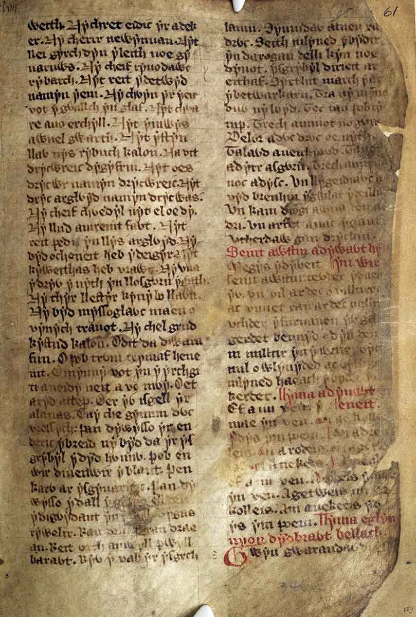 亚瑟王传奇妻子们