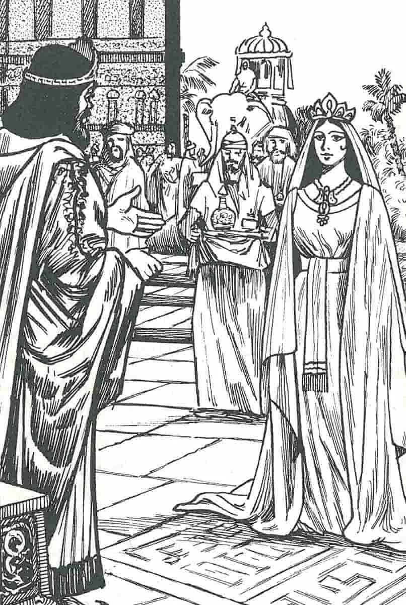 圣经中的索罗门王后宫