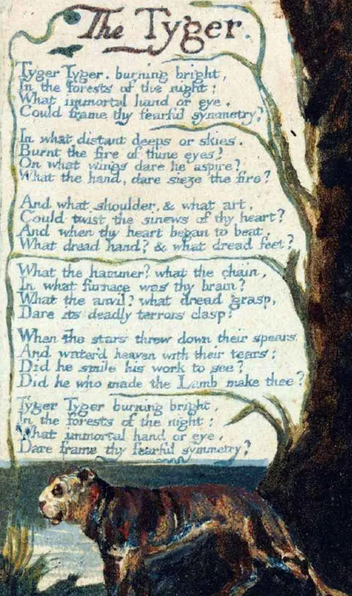 浪漫主义音乐赏析及名曲例举