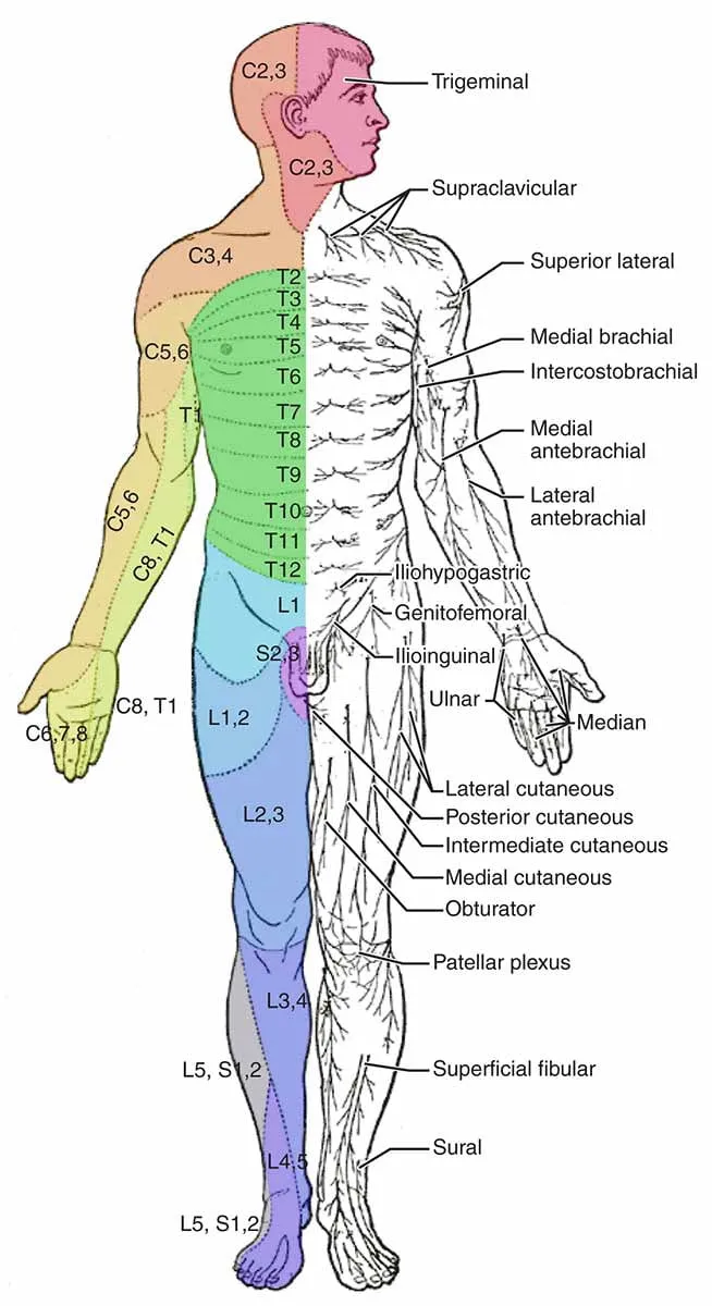 中医武术中的气功：生命能量