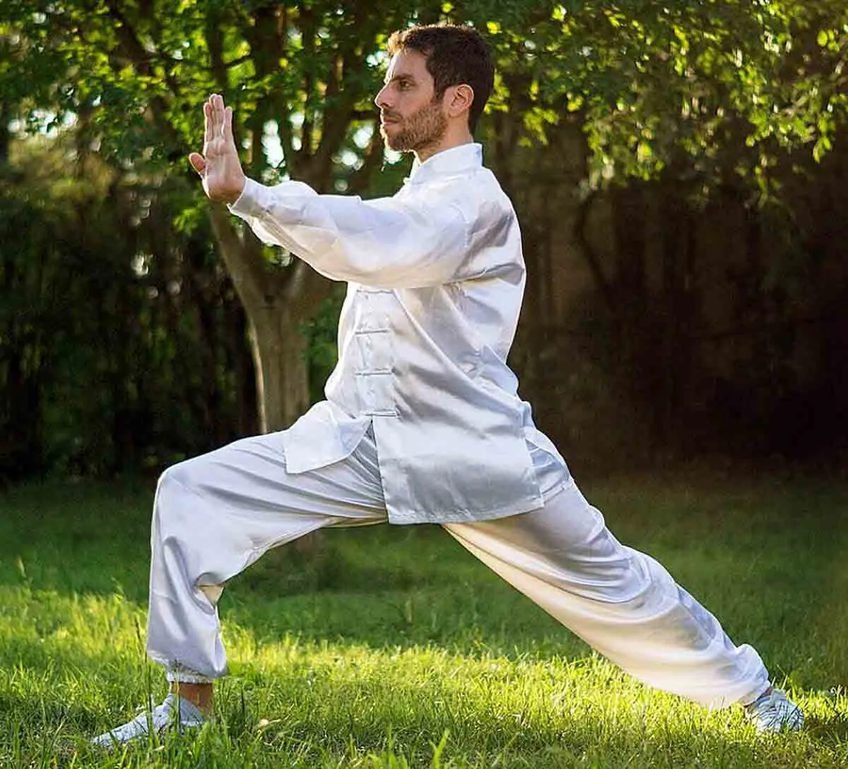 中医武术中的气功：生命能量