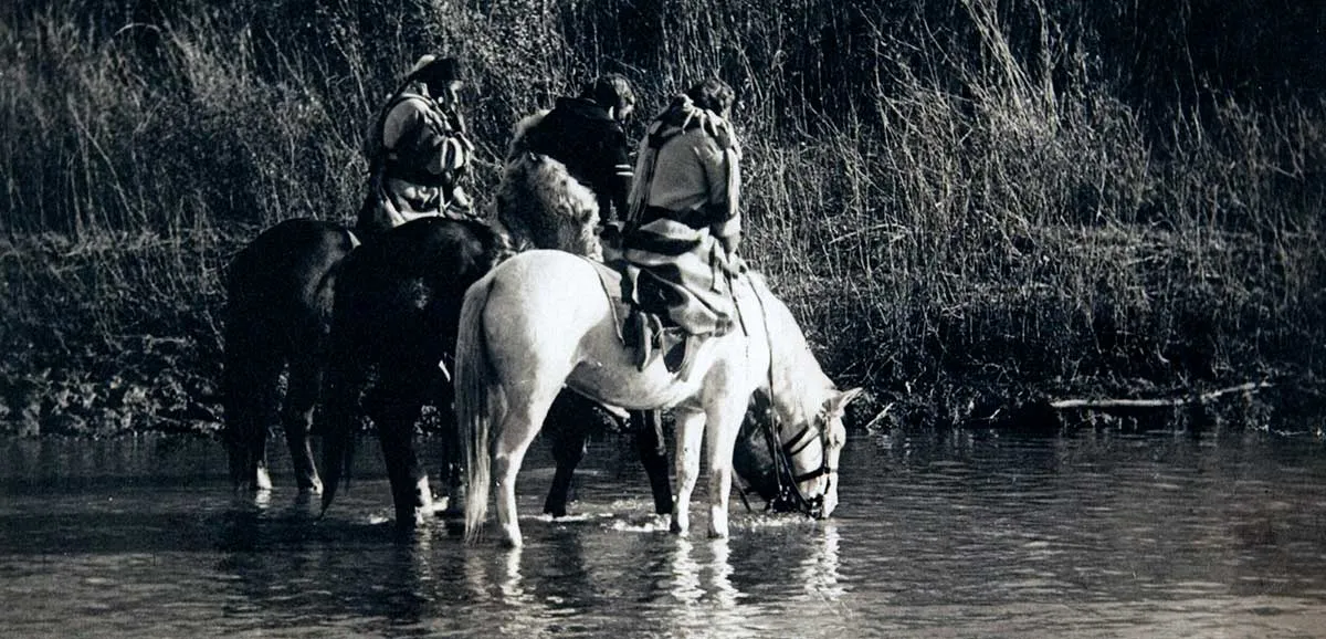 阿凡达神话：圣星球意象解读