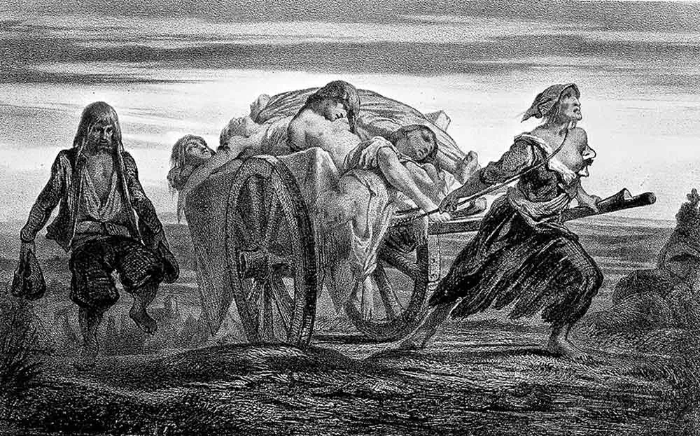 黑死病夺走了多少生命?