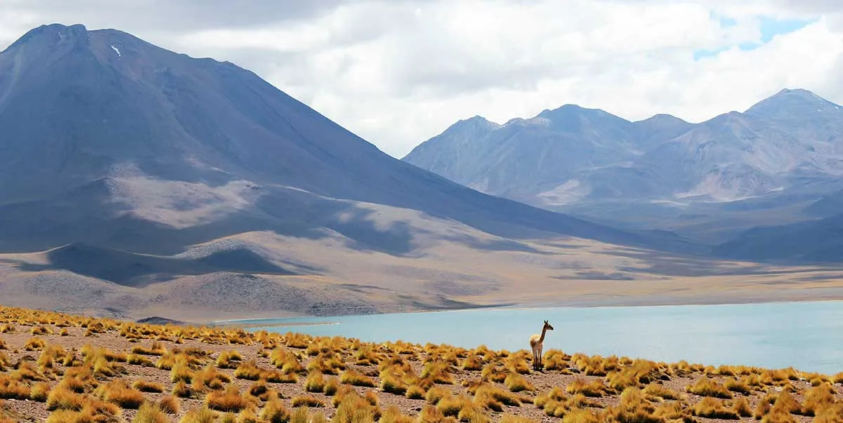 智利最佳旅行时间