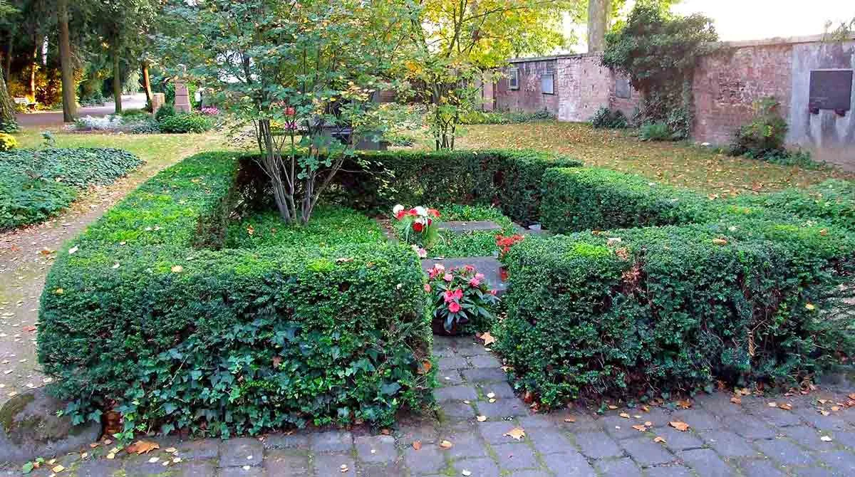 叔本华：悲观哲学家之路