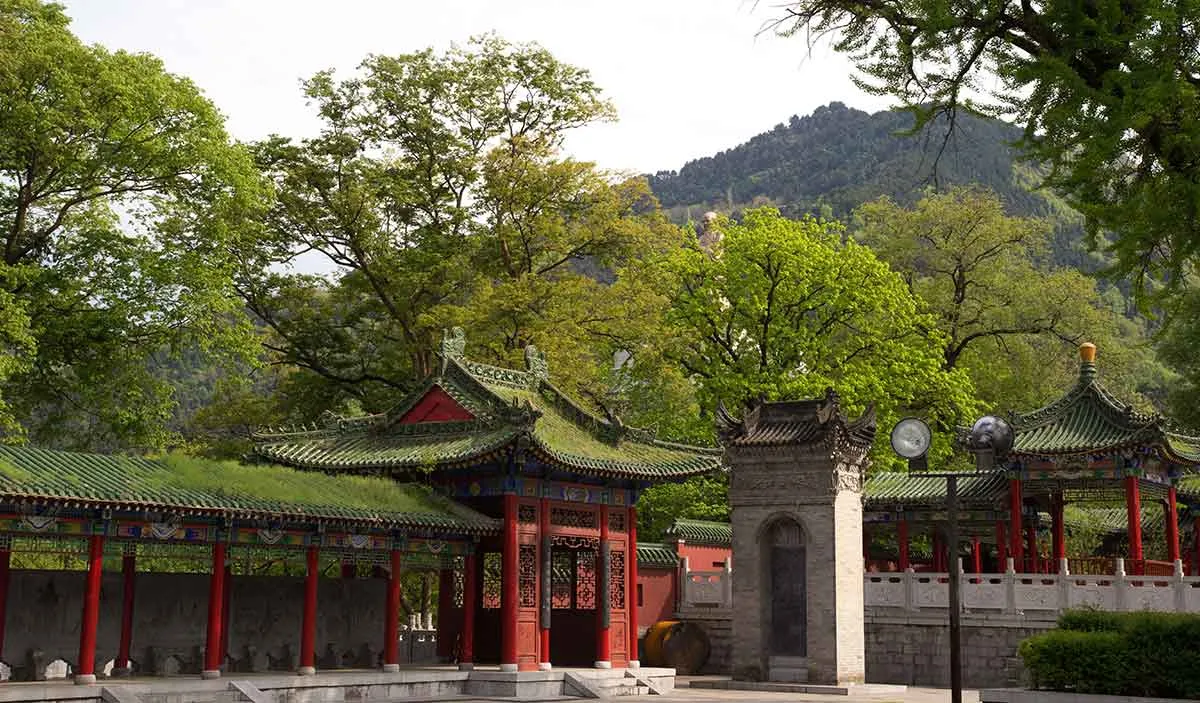 道家五戒：核心思想与实践