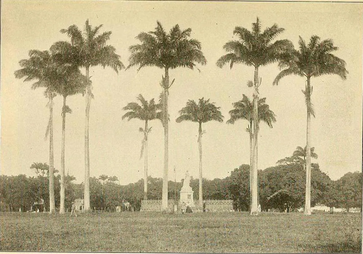 图片3:1902年的马提尼克岛风光