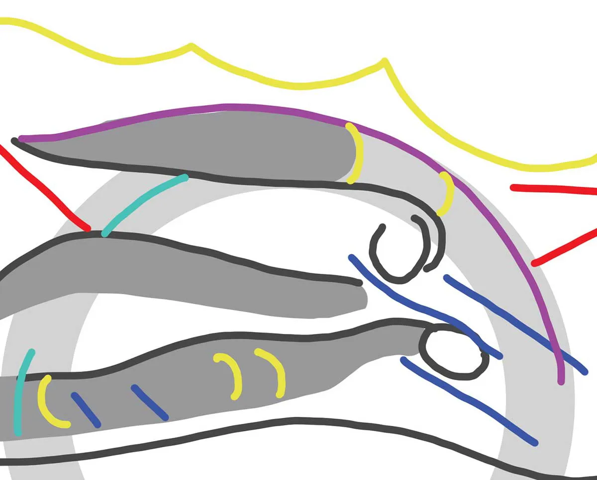 图8:Jina Wallwork绘制的《耶和华(Elohim)创造亚当》构图分析图