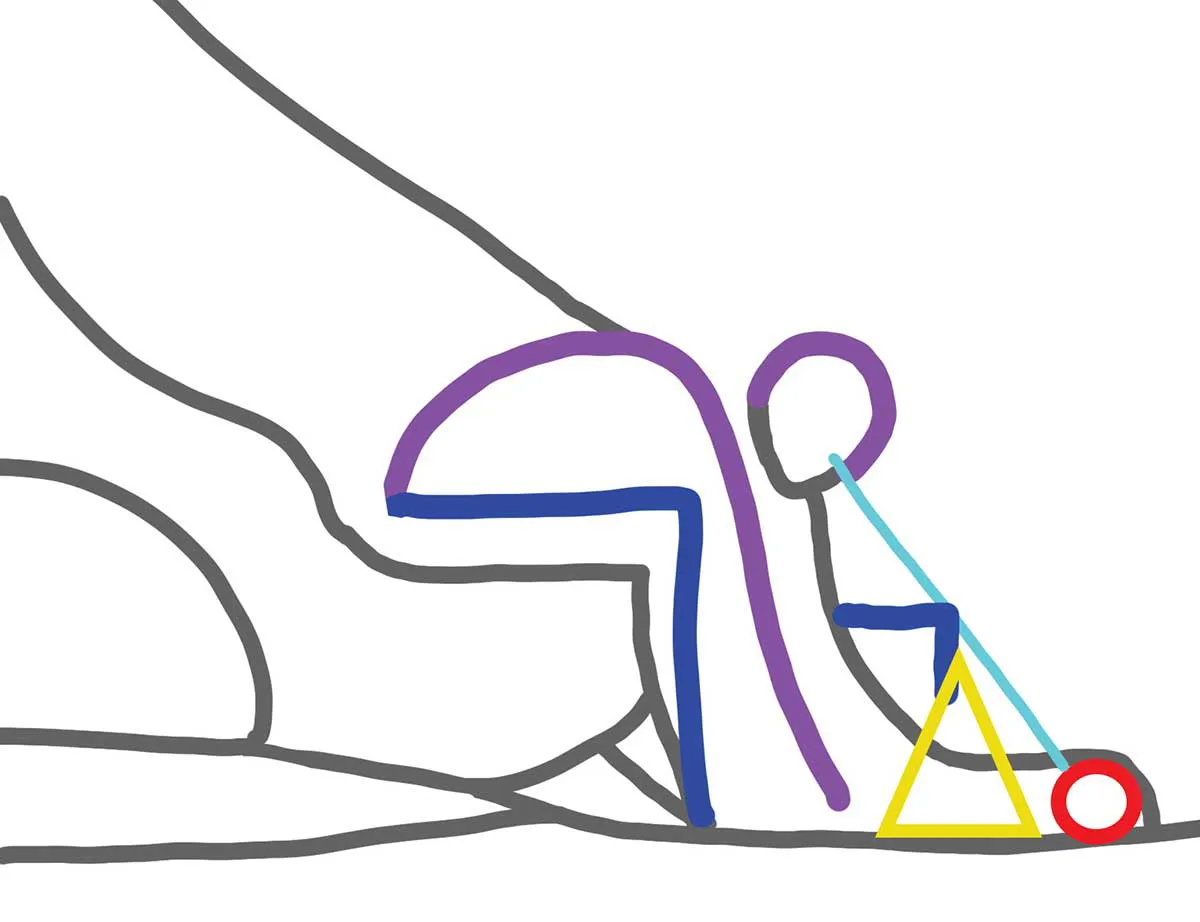 图12:Jina Wallwork绘制的《牛顿》构图分析图