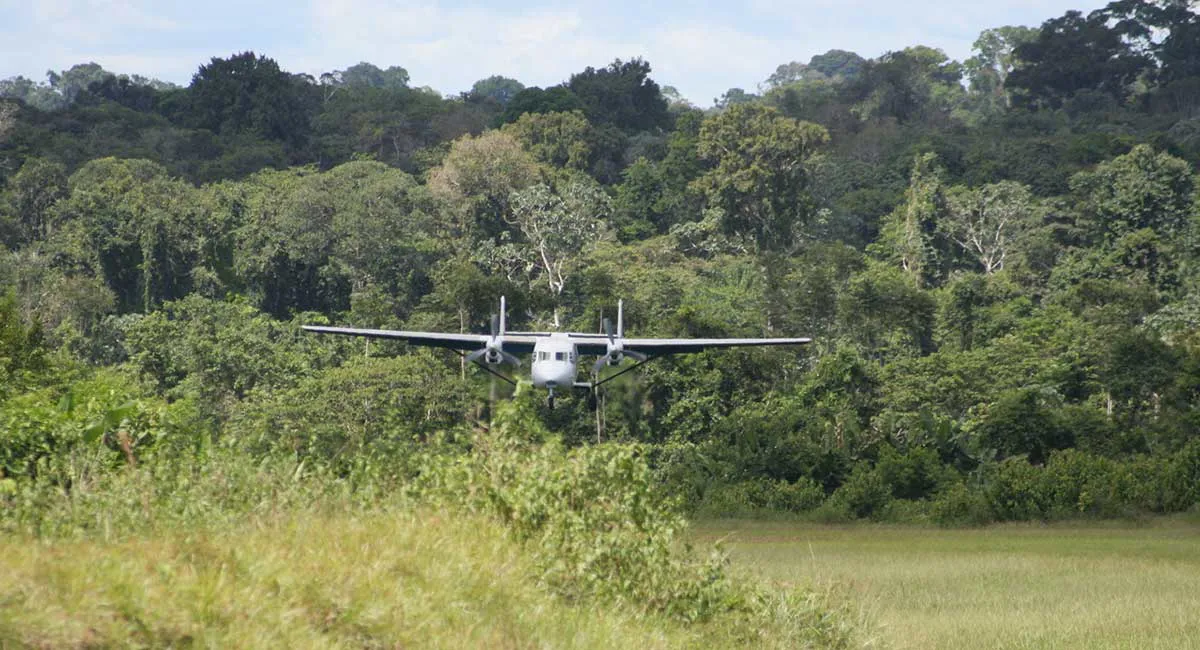 图9:小型飞机飞越森林冠层