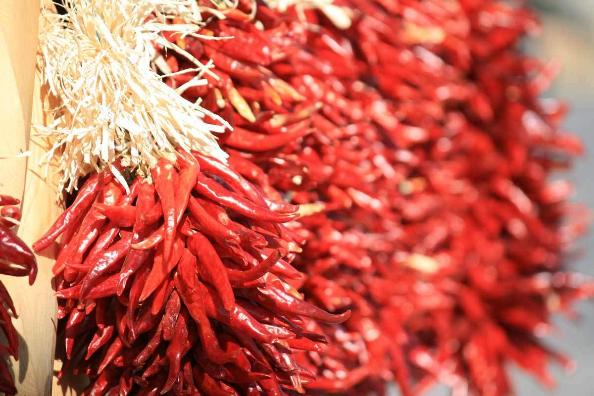 chili-peppers-santa-fe-cuisine.jpg