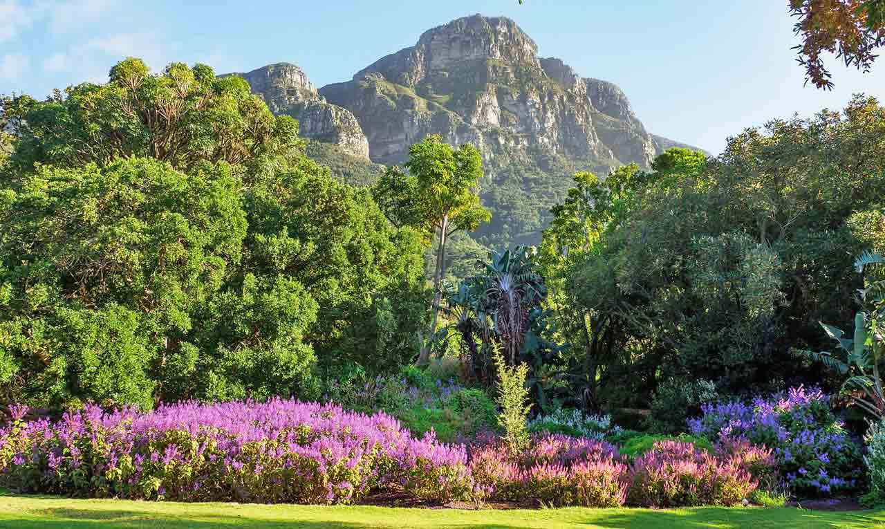 kirstenbosch-botanical-gardens-1.jpg