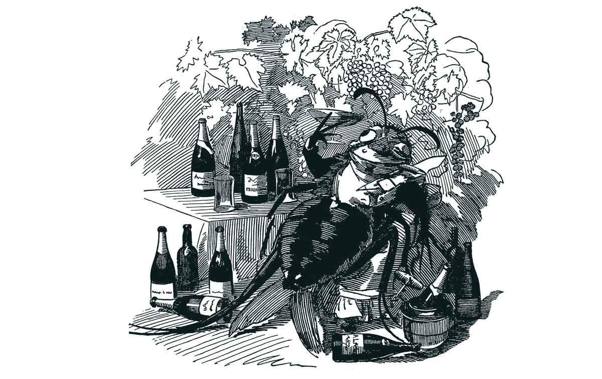 phylloxera-cartoon-bordeaux-wine.jpg