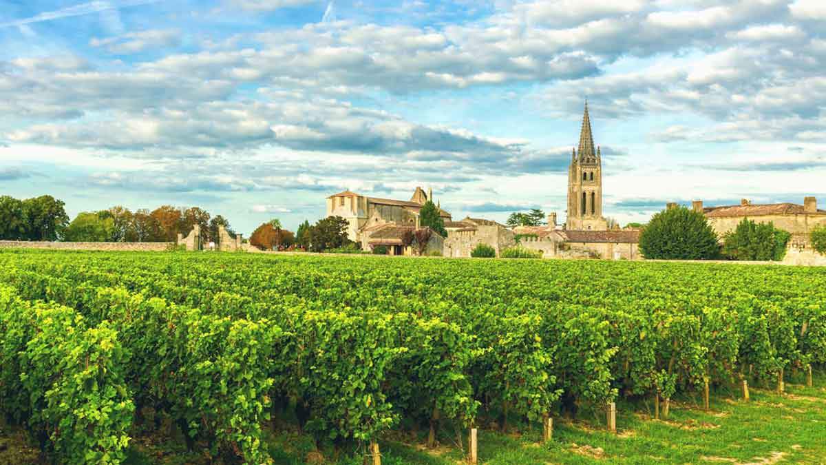 bordeaux-wine-vineyard-church.jpg