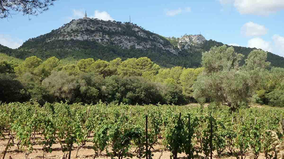 Puig-de-Sant-Salvador-mallorca.jpg