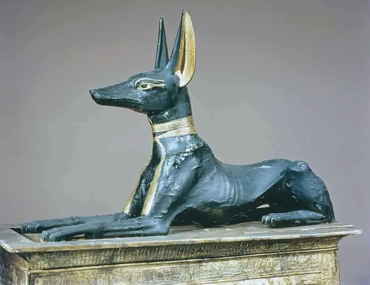 anubis-tutankhamun-egypt.jpg