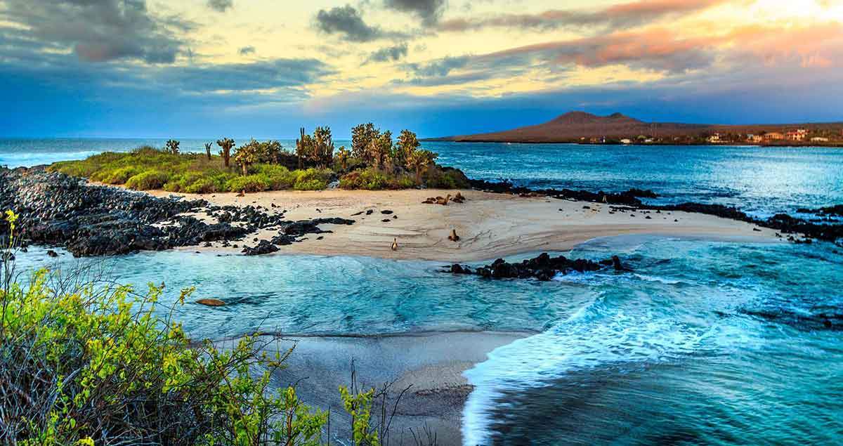 galapagos-islands-visit.jpg