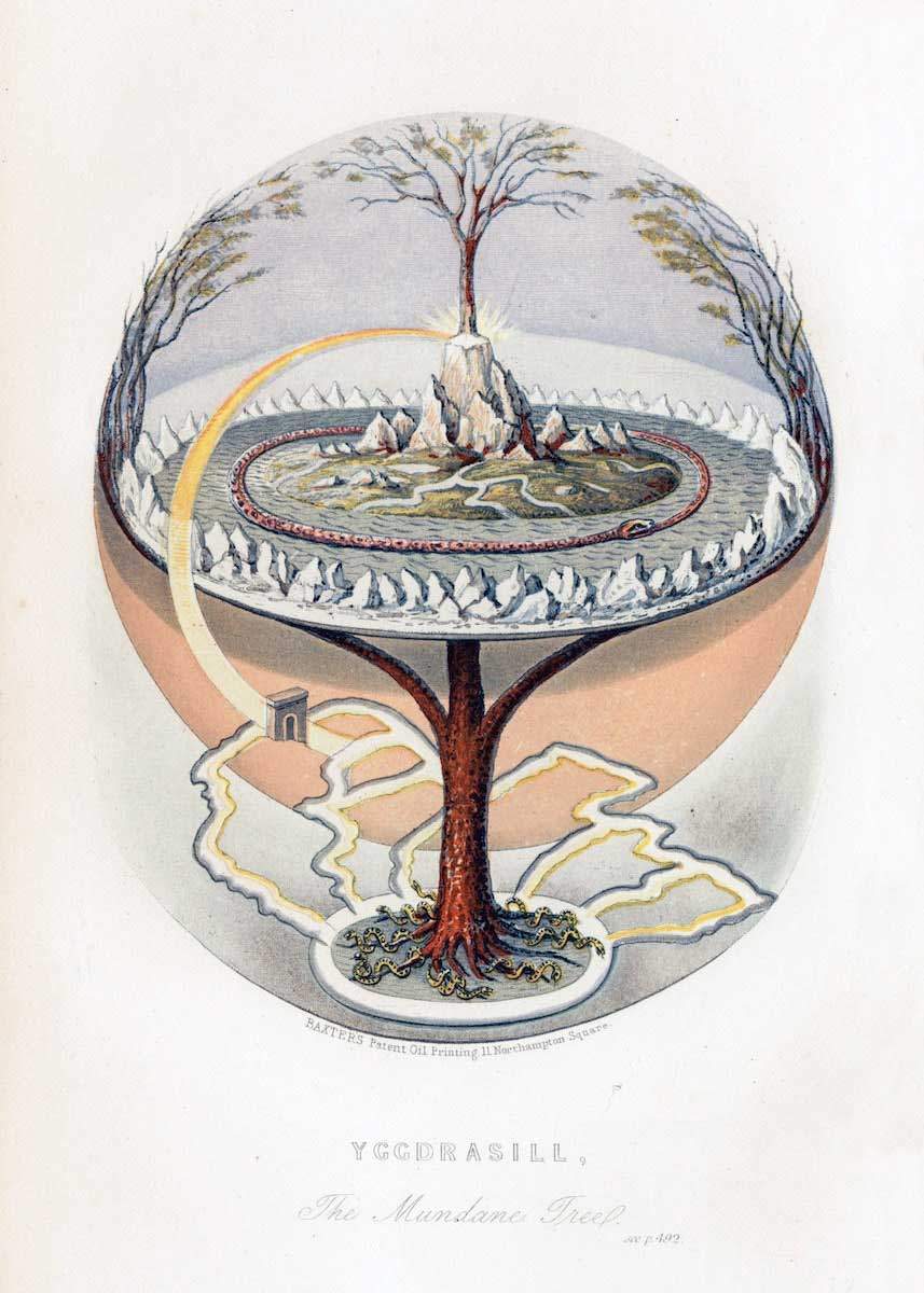 yggdrasil-tree.jpg