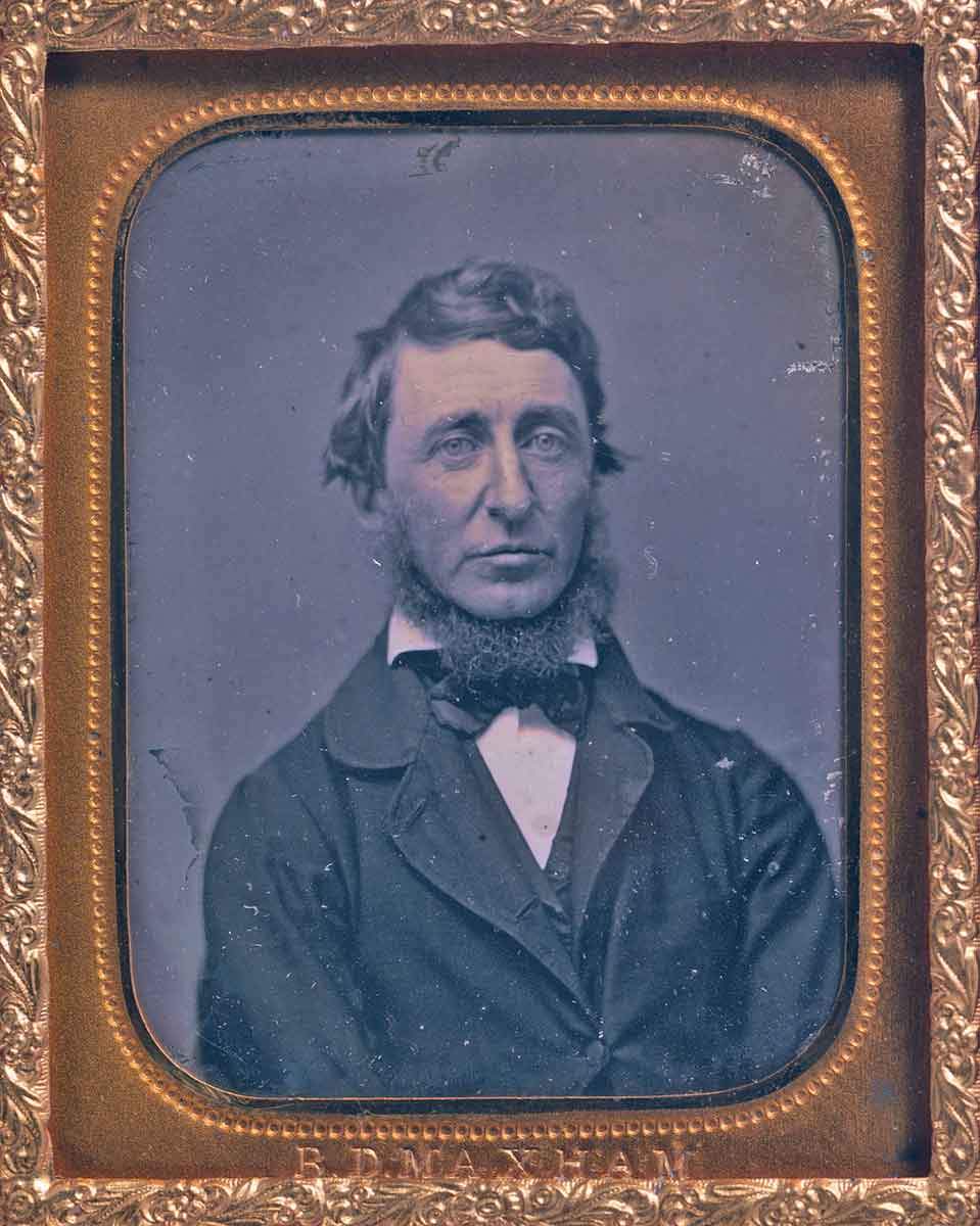 henry-david-thoreau.jpg